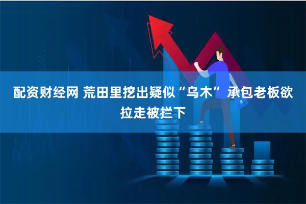 配资财经网 荒田里挖出疑似“乌木” 承包老板欲拉走被拦下