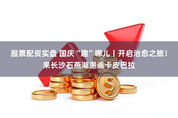 股票配资实盘 国庆“趣”哪儿丨开启治愈之旅！来长沙石燕湖邂逅卡皮巴拉