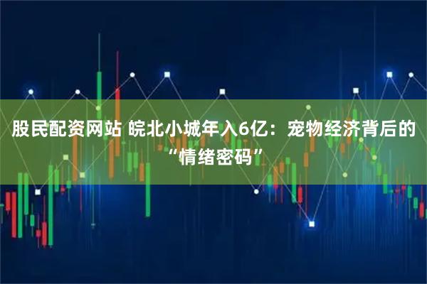 股民配资网站 皖北小城年入6亿：宠物经济背后的“情绪密码”